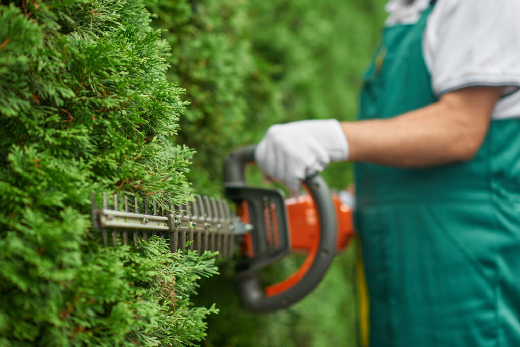 Hedge Maintenance